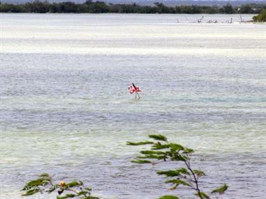 2004 Cuba, Chivirico - Bayamo - Cayo Coco, DSC01491 B_B720